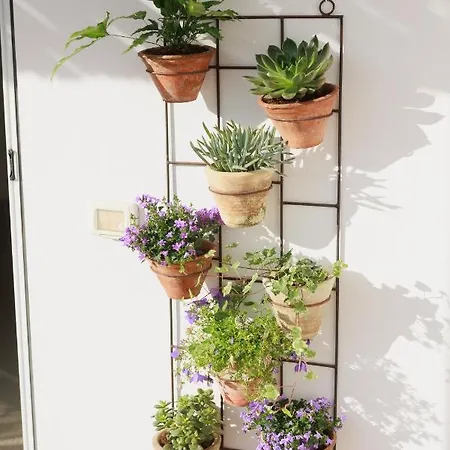 住宿加早餐酒店 La Pigna Blu 3*