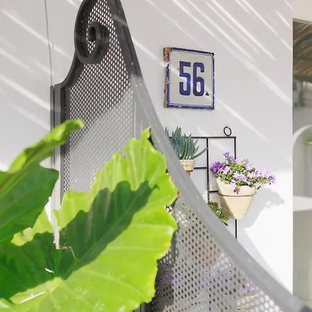 住宿加早餐酒店 La Pigna Blu 3*