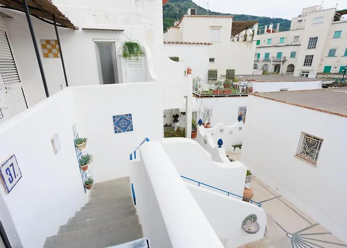 La Pigna Blu Anacapri (Isola di Capri)