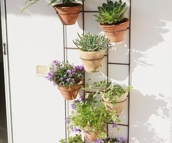 Bed & Breakfast La Pigna Blu 4*