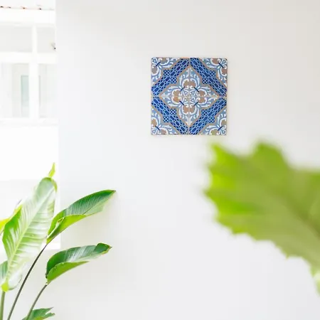 La Pigna Blu 阿纳卡普里