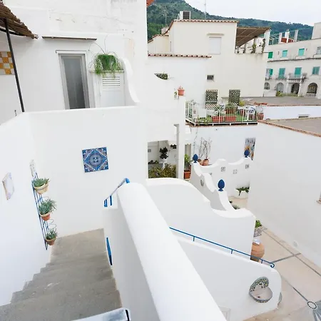 La Pigna Blu Anacapri (Isola di Capri)